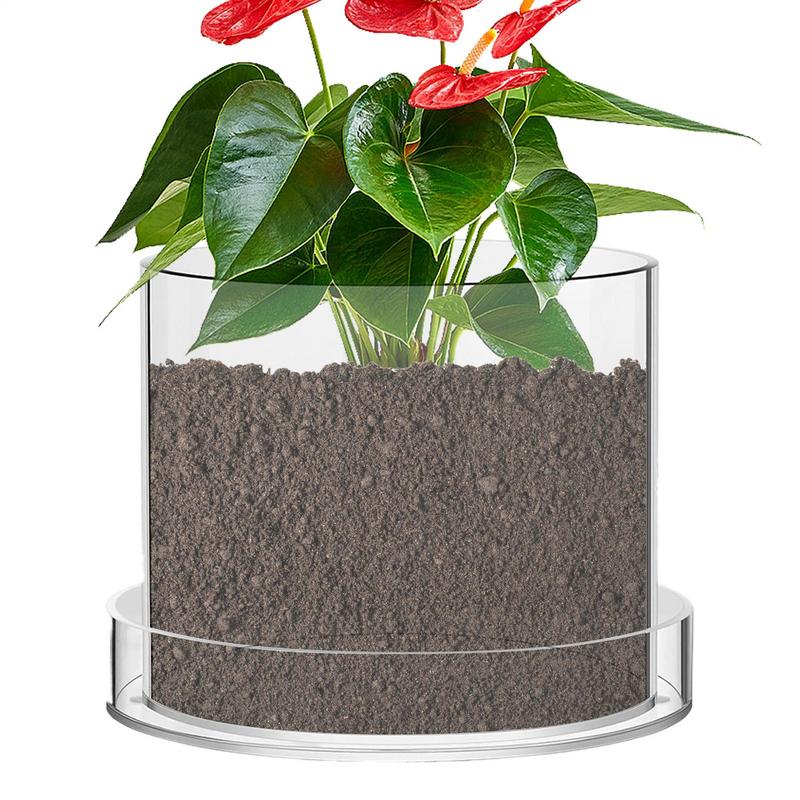 Aloe Vera Pot - Прозрачные горшки для растений с дренажем