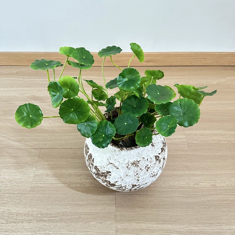 Pilea Peperomioides - 2 шт. Искусственные листья пилеи перепомиоидес