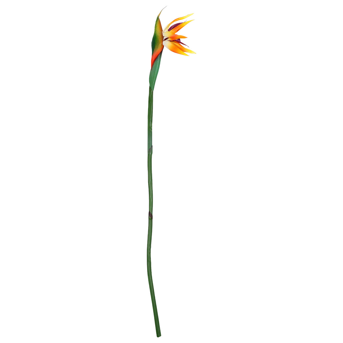 Искусственный цветок стрелицие – обзор и цена Bird Paradise Strelitzia