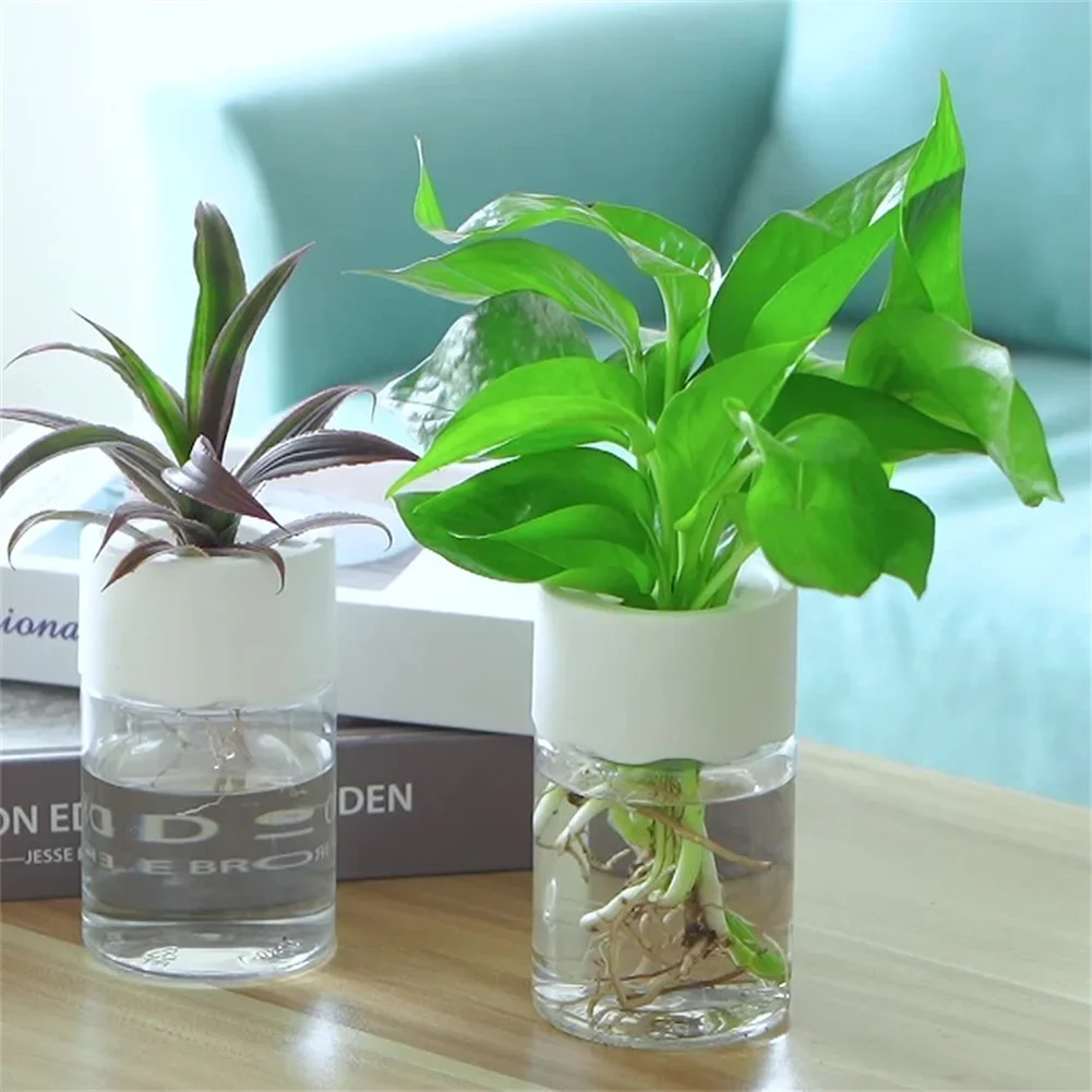 Мини-гидропонный цветочный гор – обзор и цена Aloe Vera Pot