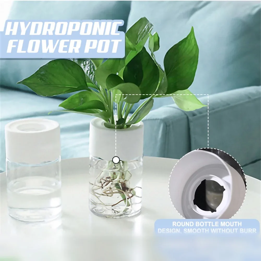 Мини-гидропонный цветочный гор – обзор и цена Aloe Vera Pot