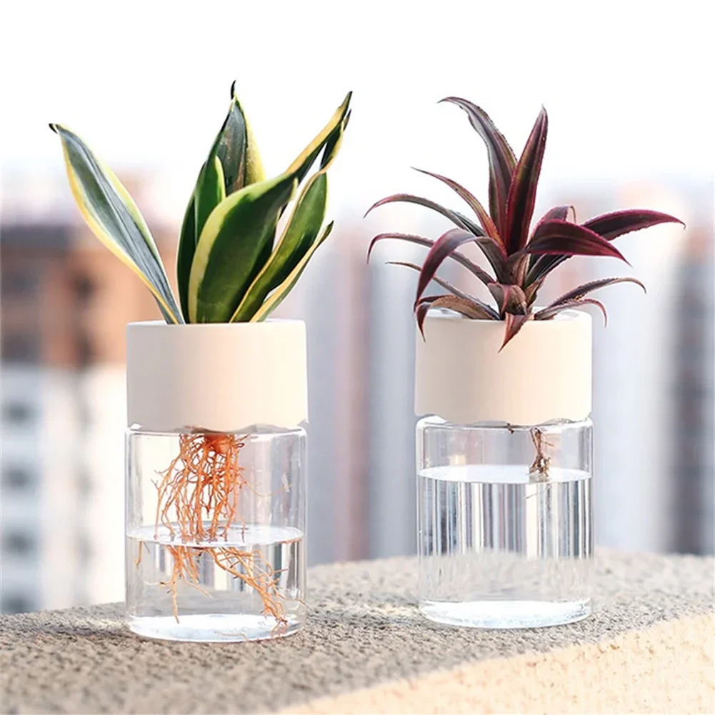 Мини-гидропонный цветочный гор – обзор и цена Aloe Vera Pot