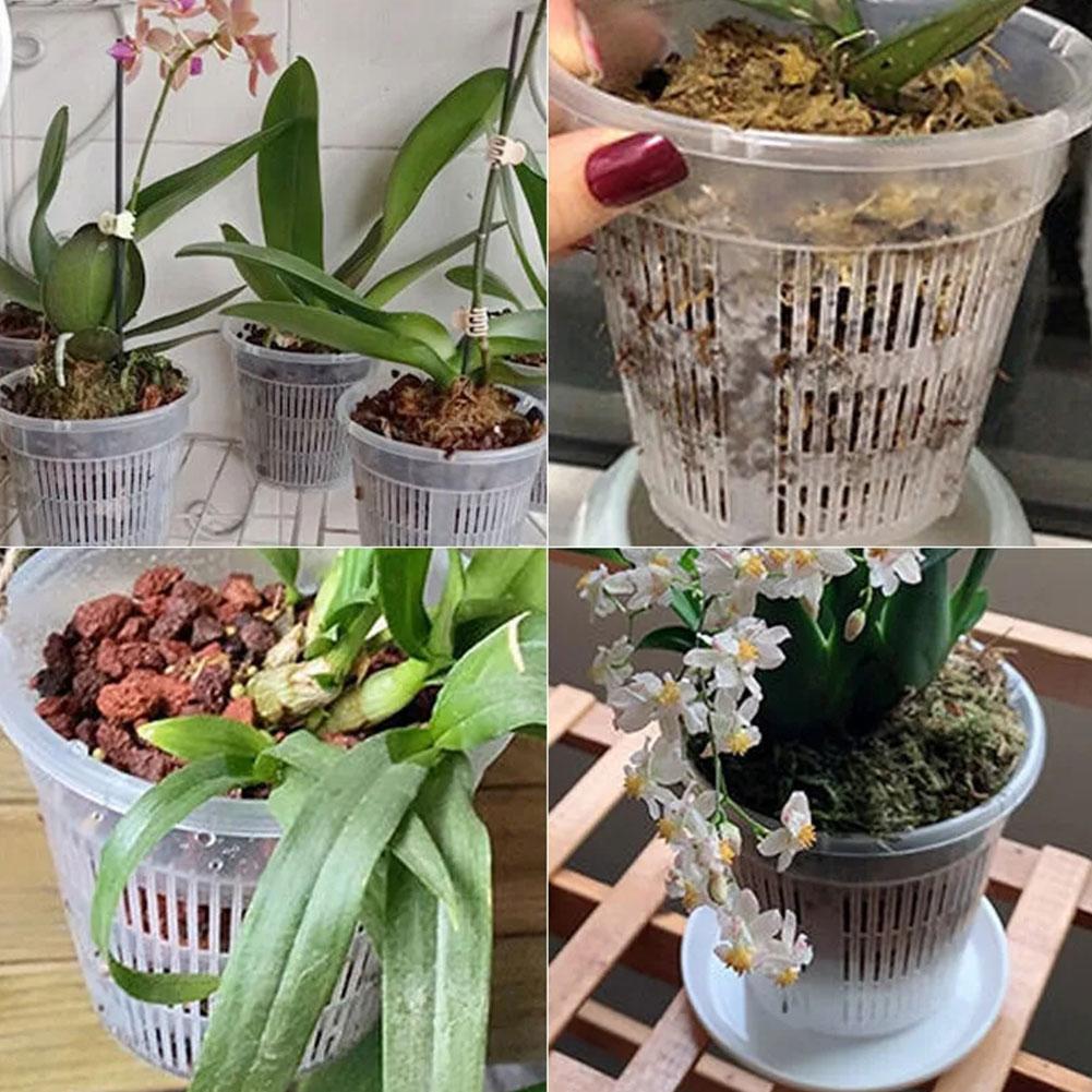 Сетчатый горшок с контролем ко – обзор и цена Aloe Vera Pot