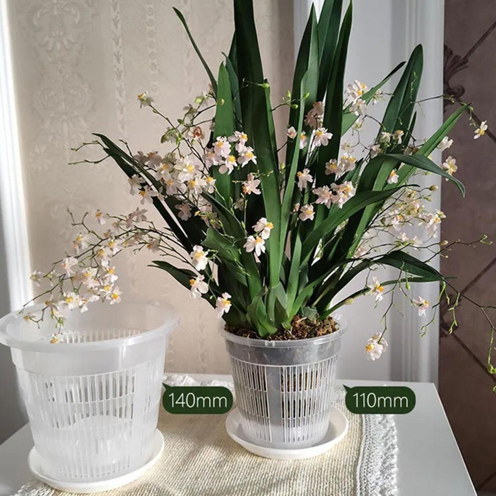 Сетчатый горшок с контролем ко – обзор и цена Aloe Vera Pot