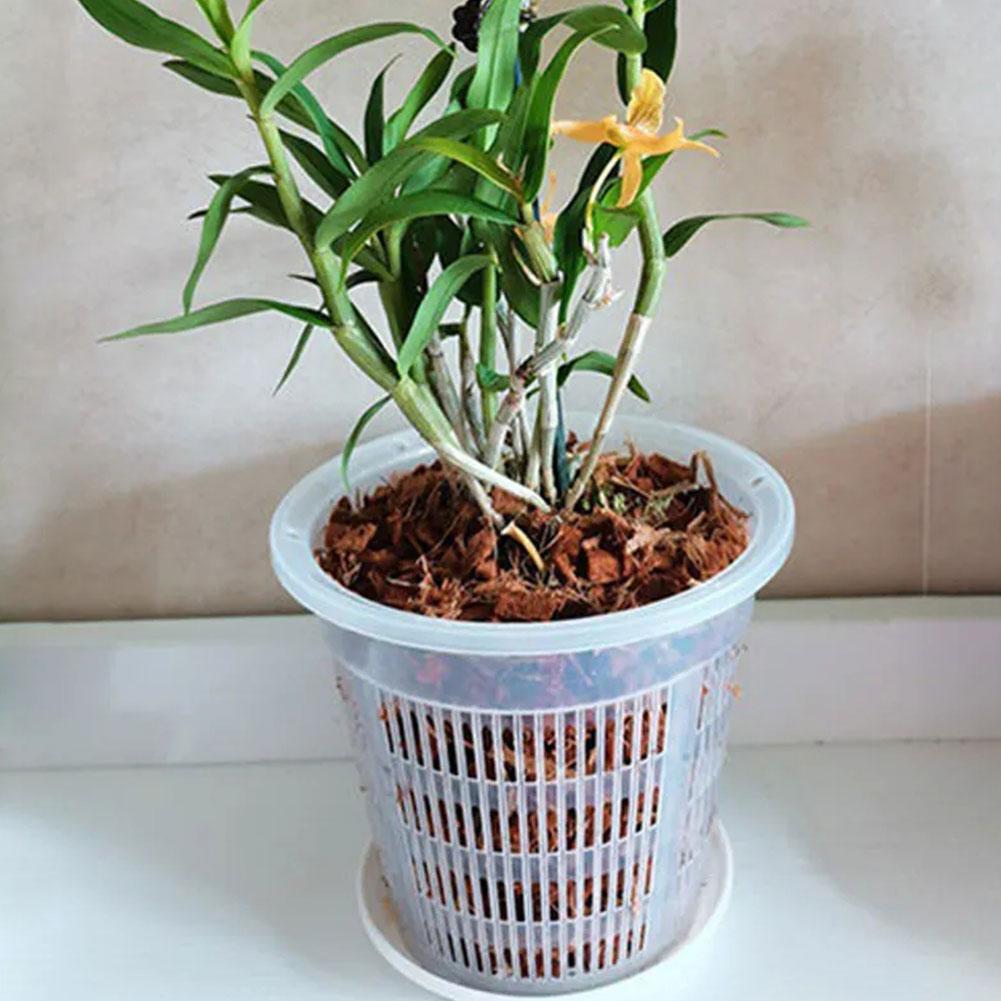 Сетчатый горшок с контролем ко – обзор и цена Aloe Vera Pot