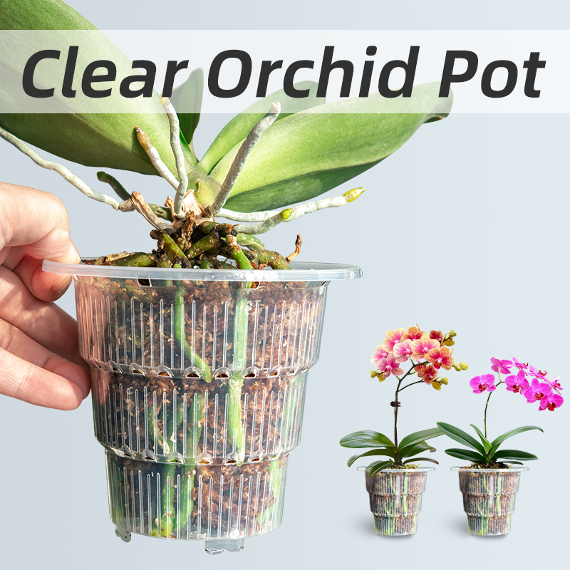 Прозрачные пластиковые горшки  – обзор и цена Aloe Vera Pot