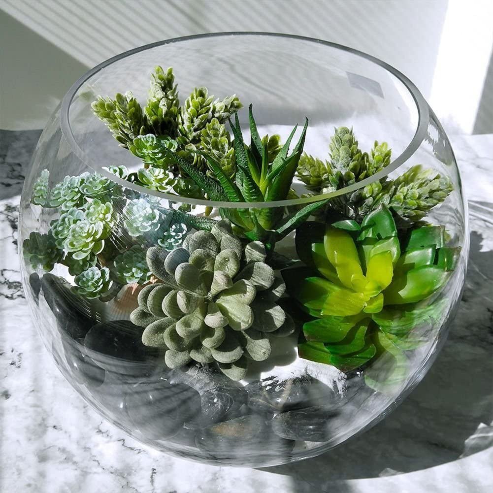 15 шт., Декоративные искусстве – обзор и цена Echeveria Succulent