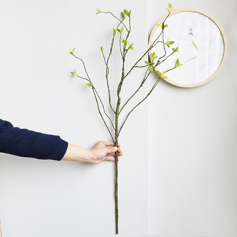 Новая искусственная лоза из ро – обзор и цена Dracaena Marginata