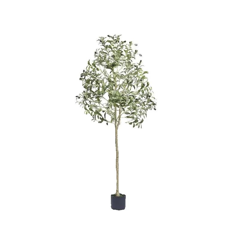 SucceBuy Искусственное оливков – обзор и цена Dracaena Marginata