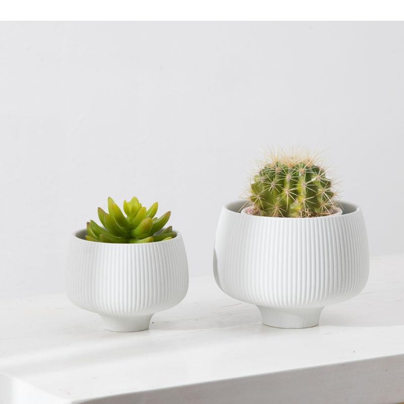 Керамическая ваза с разноцветн – обзор и цена Aloe Vera Pot