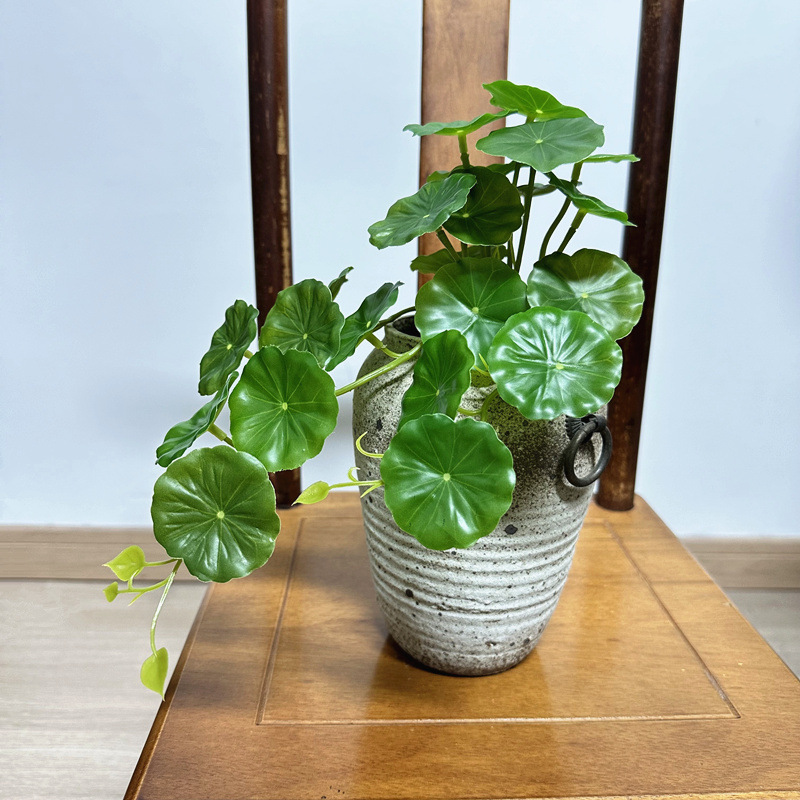 2 шт. Искусственные листья пил – обзор и цена Pilea Peperomioides