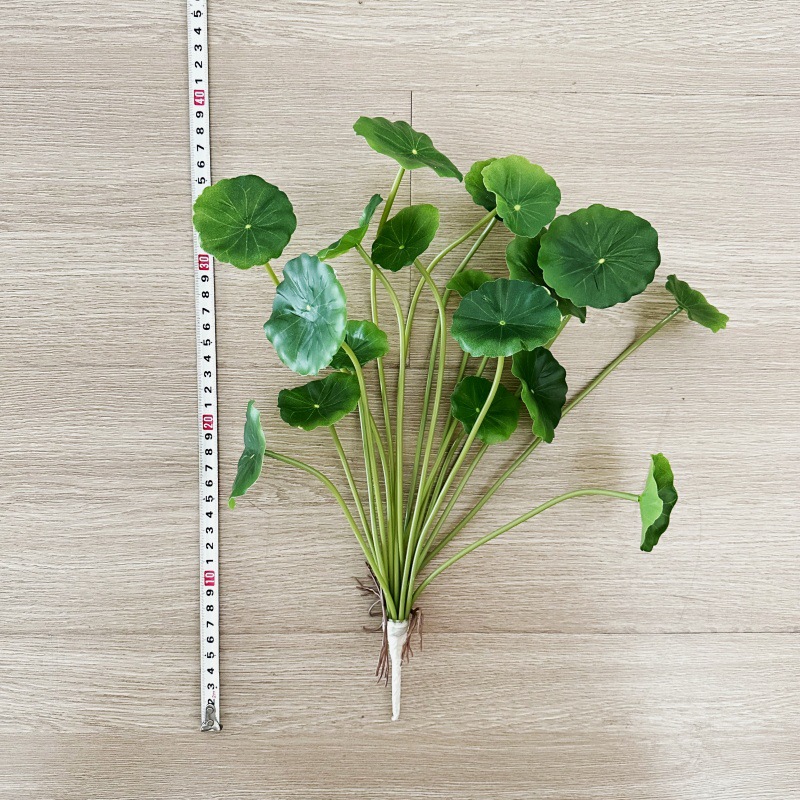 2 шт. Искусственные листья пил – обзор и цена Pilea Peperomioides
