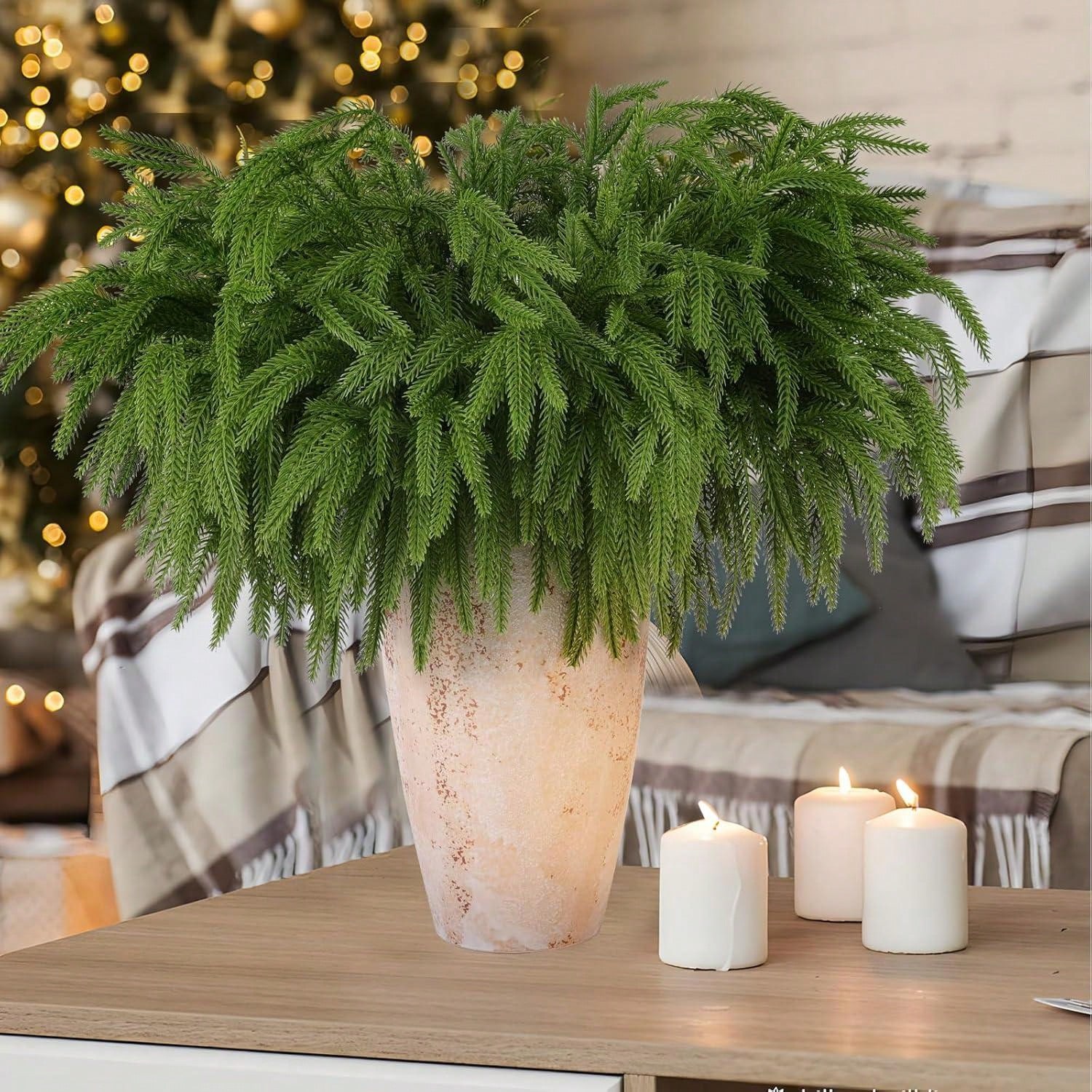 Рождественские ветки Norfolk,  – обзор и цена Dracaena Marginata