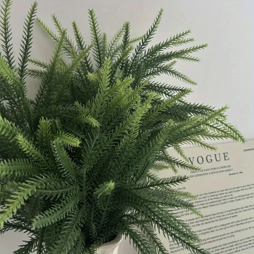 Рождественские ветки Norfolk,  – обзор и цена Dracaena Marginata