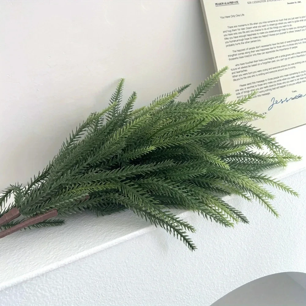 Рождественские ветки Norfolk,  – обзор и цена Dracaena Marginata